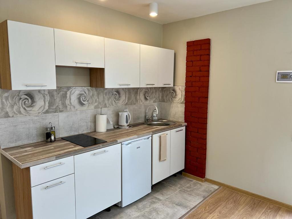 Saulgriezes Apartment *