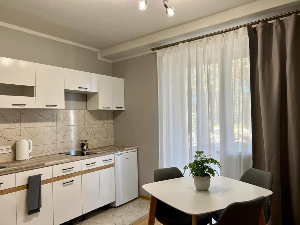 Saulgriezes Apartment